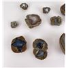 Image 2 : Collection of Thunder Eggs and Agates