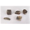 Image 1 : Collection of Montana Found Dinosaur Bone