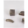 Image 2 : Collection of Montana Found Dinosaur Bone
