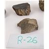Image 8 : Collection of Montana Found Dinosaur Bone