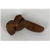 Image 1 : Coprolite Fossilized Dinosaur Poop