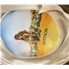 Image 7 : Antique Montana Stetson Cowboy Hat 3X