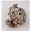 Image 2 : Grape Agate Mineral Specimen