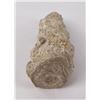 Image 4 : Stalagmite Mineral Specimen