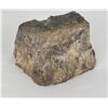Image 1 : 7500 Gram Dinosaur Bone Lapidary Media