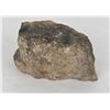 Image 2 : 7500 Gram Dinosaur Bone Lapidary Media