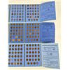 Image 6 : Collection of Lincoln Head Cent Pennies