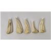 Image 1 : Collection of South Pacific Boar Teeth