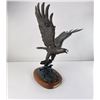 Image 1 : Carl Wagner Catch of the Day Eagle Bronze