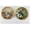 Image 1 : Antique Limoges Porcelain Plates