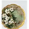 Image 3 : Antique Limoges Porcelain Plates