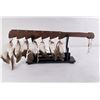 Image 2 : Plains Native American Indian War Club