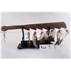Image 7 : Plains Native American Indian War Club