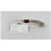 Image 1 : Bo Earls Handmade Horn Handle Knife