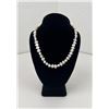 Image 1 : Pearl Necklace