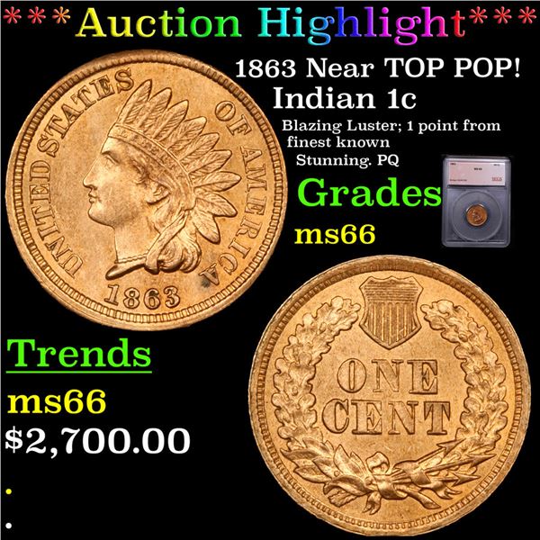 ***Auction Highlight*** 1863 Indian Cent Near TOP POP! 1c Graded ms66 BY SEGS (fc)