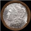 Image 2 : ***Auction Highlight*** 1879 & CC Uncirculated Morgan Dollar Shotgun Roll (fc)