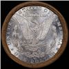 Image 3 : ***Auction Highlight*** 1879 & CC Uncirculated Morgan Dollar Shotgun Roll (fc)