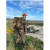 Image 3 : 4-DAY ROE DEER HUNT FOR 1 HUNTER IBERIAN HUNTERS- Luis Ruiz Del Olmo