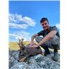 Image 4 : 4-DAY ROE DEER HUNT FOR 1 HUNTER IBERIAN HUNTERS- Luis Ruiz Del Olmo