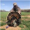 Image 1 : 2 - DAY RIO GRANDE TURKEY HUNT FOR 1 HUNTER IN KANSAS