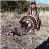 Image 2 : 2 - DAY RIO GRANDE TURKEY HUNT FOR 1 HUNTER IN KANSAS