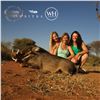 Image 4 : 7 - DAY LADIES SOUTH AFRICA HUNT, FOR 4 HUNTERS