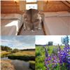 Image 3 : ONE WEEK STAY IN A MOUNTAIN CABIN IN THE BEAUTIFUL BIGHORN MOUNTAINS OF WYOMING