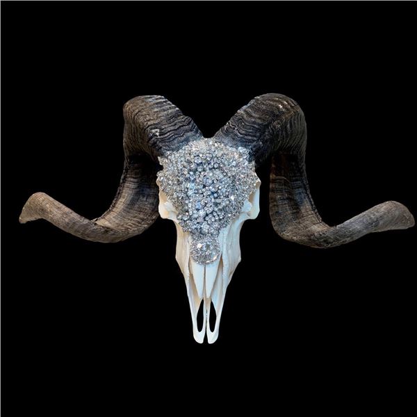 EMBELLISHED HYBRID SHEEP SKULL