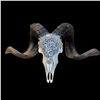 Image 1 : EMBELLISHED HYBRID SHEEP SKULL