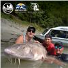 Image 5 : 8th ANNUAL WILD SHEEP JURASSIC CLASSIC STURGEON FISHING TOURNAMENT 2 - DAY TRIP FOR 2 ANGLERS