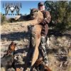 6 - DAY MTN LION HUNT IN NEW MEXICO FOR 1 HUNTER