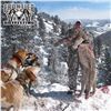 Image 3 : 6 - DAY MTN LION HUNT IN NEW MEXICO FOR 1 HUNTER