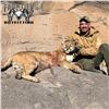 Image 4 : 6 - DAY MTN LION HUNT IN NEW MEXICO FOR 1 HUNTER