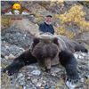 10 - DAY SPRING GRIZZLY BEAR & WOLF HUNT FOR 1 HUNTER