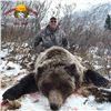 Image 3 : 10 - DAY SPRING GRIZZLY BEAR & WOLF HUNT FOR 1 HUNTER