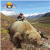 Image 6 : 10 - DAY SPRING GRIZZLY BEAR & WOLF HUNT FOR 1 HUNTER