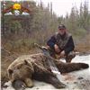 Image 7 : 10 - DAY SPRING GRIZZLY BEAR & WOLF HUNT FOR 1 HUNTER