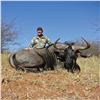 Image 2 : 5 - DAY HUNT FOR NYALA, BLUE WILDEBEEST, ZEBRA, BLESBUCK, WARTHOG & IMPALA FOR 3 HUNTERS