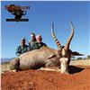 Image 4 : 5 - DAY HUNT FOR NYALA, BLUE WILDEBEEST, ZEBRA, BLESBUCK, WARTHOG & IMPALA FOR 3 HUNTERS