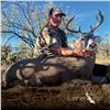 Image 1 : 5 - DAY COUES DEER HUNT FOR 1 HUNTER IN ARIZONA