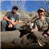 Image 3 : 5 - DAY COUES DEER HUNT FOR 1 HUNTER IN ARIZONA