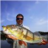 Image 2 : 7 - DAY FISHING TRIP ON THE AMAZON RIVER BASIN IN BRAZIL FOR 1 ANGLER (peacock, arapaima, catfish &