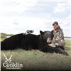 Image 2 : 5 - DAY TROPHY BLACK BEAR OR TIMBER WOLF HUNT FOR 1 HUNTER IN NORTHERN SASKATCHEWAN