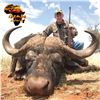 Image 1 : 7 - DAY CAPE BUFFALO HUNT FOR 1 HUNTER ($5,000 credit towards trophy fees)