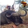 Image 5 : 7 - DAY CAPE BUFFALO HUNT FOR 1 HUNTER ($5,000 credit towards trophy fees)