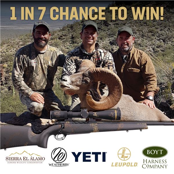 WSF ENDOWMENT YETI TREASURE 45 YETI COOLER & SURPRISE GIFT INSIDE 1 in 7 CHANCES TO WIN A DESERT