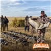 Image 2 : 3 - DAY WATERFOWL & SAND HILL CRANE HUNT IN ALBERTA CANADA FOR 1 HUNTER