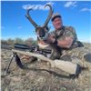 STATE OF NEVADA PRONGHORN TAG