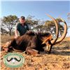 Image 2 : 7 - DAY SABLE HUNT FOR 1 HUNTER AND 1 NON-HUNTER IN SOUTH AFRICA & SIGHTSEEING IN KRUGER NATIONAL PA